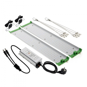 150Watt LED Beleuchtung von Grow-Basis.de