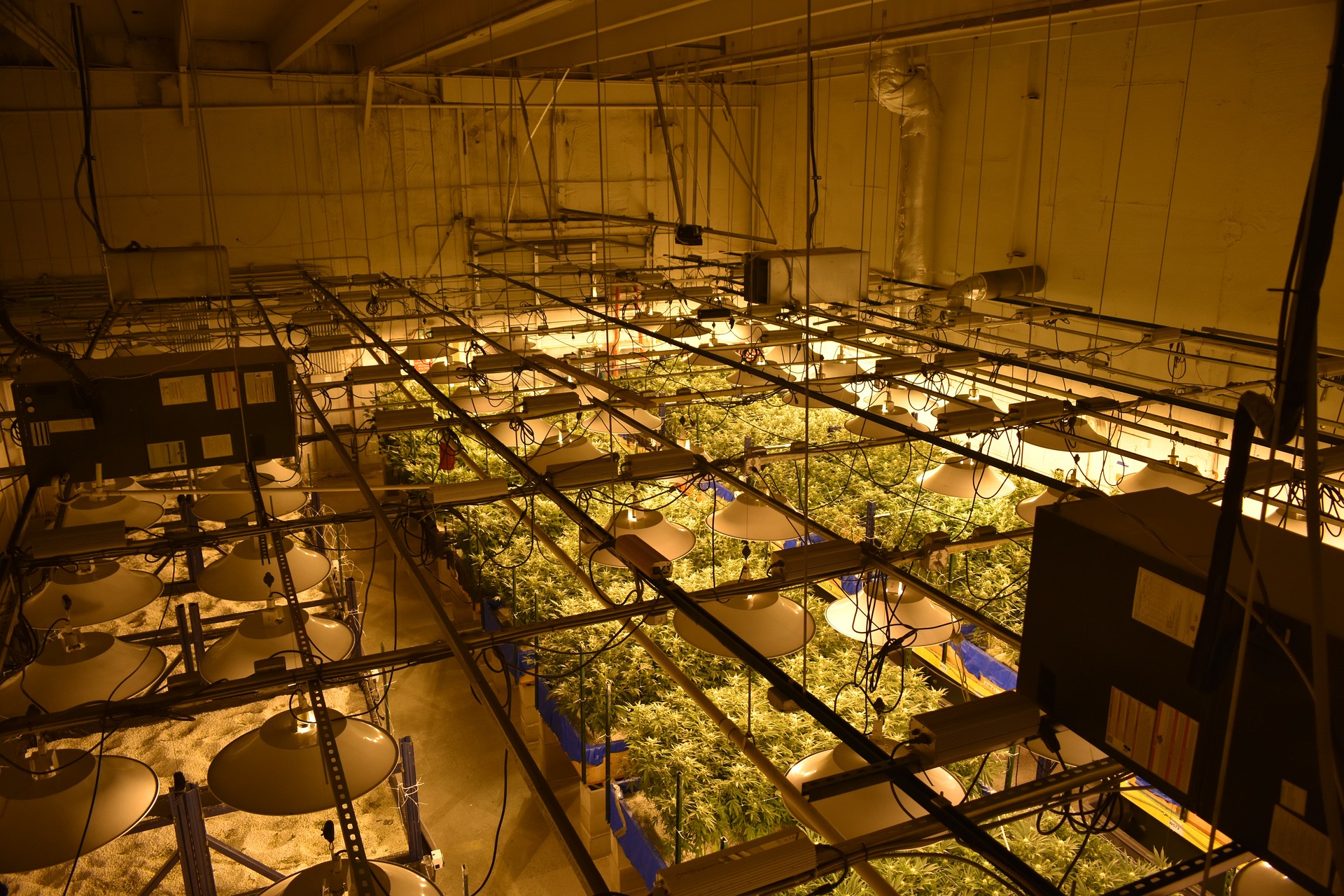 Aufbau-Service-Grow-Basis