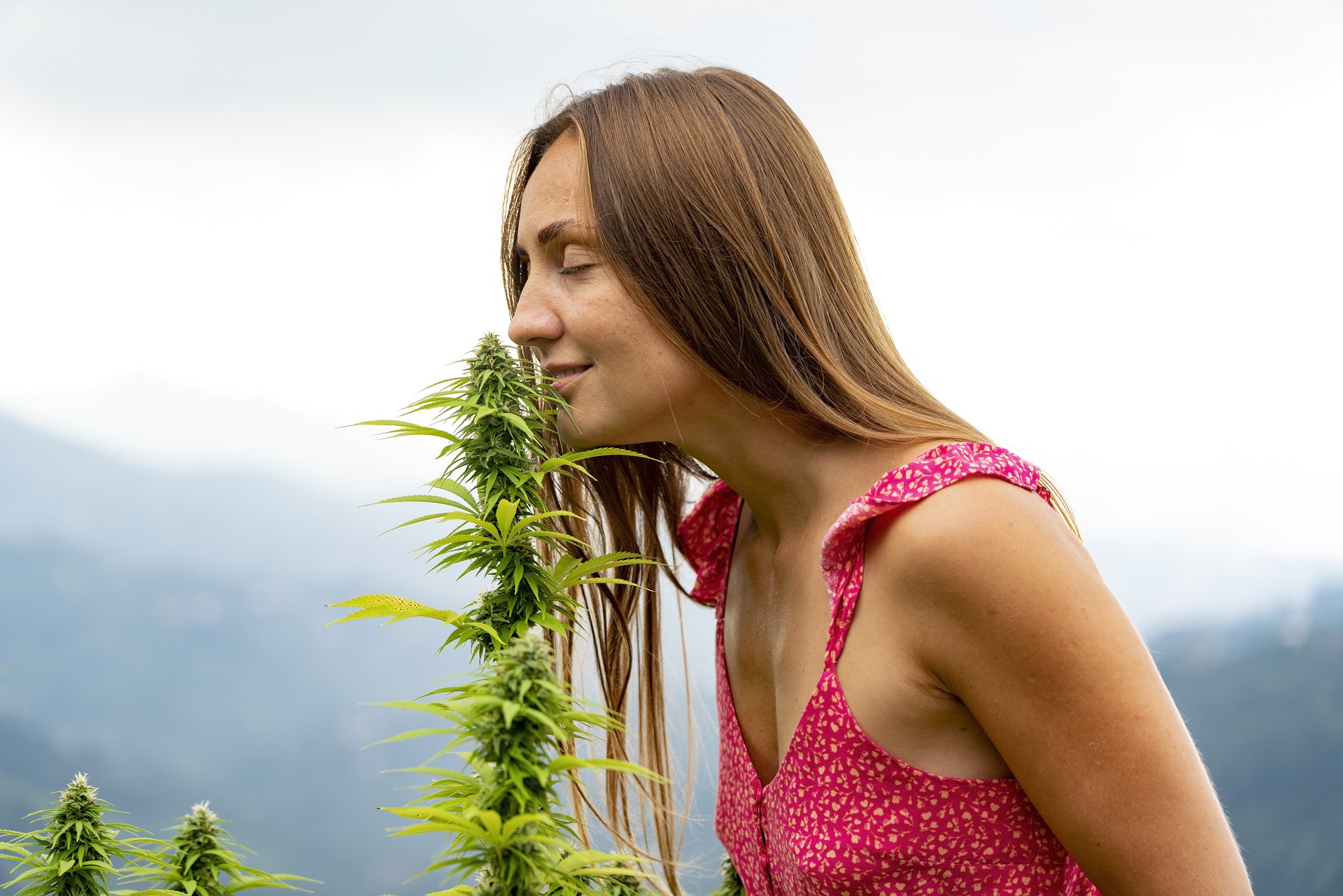 frau-reicht-maihuana-grow-basis-de